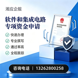 大庆软件和集成电路专项资金申报服务