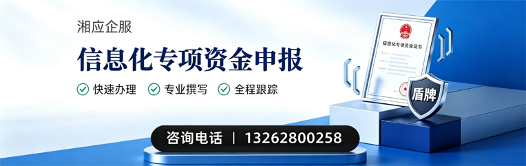 大庆信息化专项资金申报服务