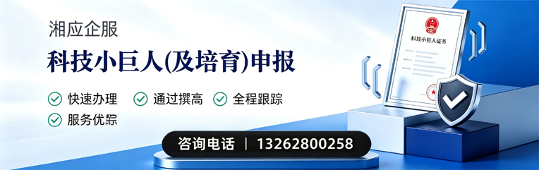 大庆科技小巨人及培育企业申报服务