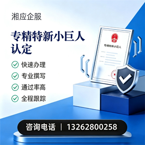 大庆专精特新小巨人申报服务