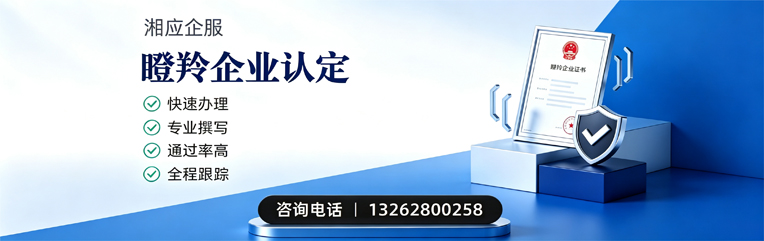 大庆瞪羚企业认定申报服务