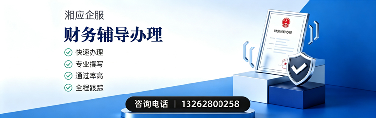 大庆财务辅导申请服务