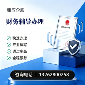大庆财务辅导申请服务