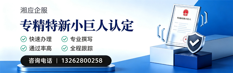 大庆专精特新小巨人申报服务